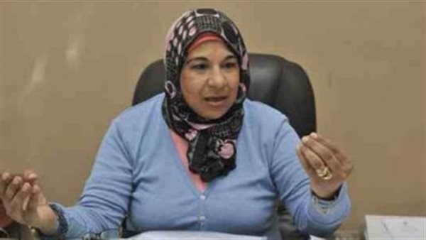 «رقم ضخم».. الضرائب العقارية تكشف حجم إيرادات المصلحة هذا العام (فيديو)