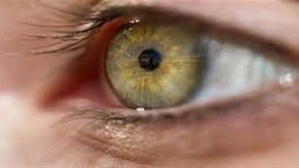 ما حكم نقل القرنية من الميت للحي؟ (فيديو)