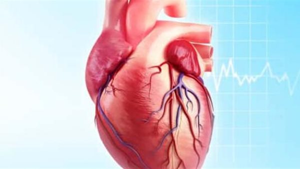 خطورة أمراض الشريان التاجي (فيديو)