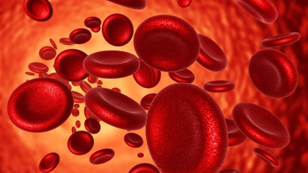 أسباب الإصابة بالأنيميا.. «نقص الحديد والبروتين» (فيديو) 