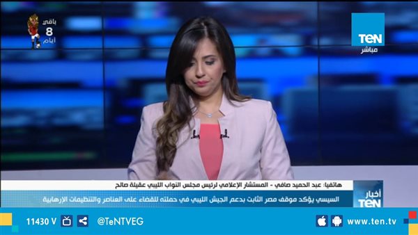 مستشار رئيس مجلس النواب الليبي: دعم مصر للجيش الليبي يحظى بدعم وتأييد شعبي (فيديو)