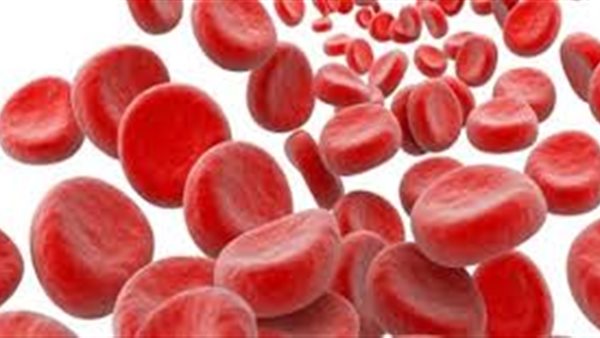 طريقة علاج نقص الحديد.. «سبانخ ولحم» (فيديو)