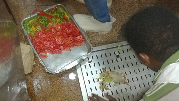 الصحة: إعدام 4 أطنان أغذية متنوعة فاسدة بعدد من المنشآت الغذائية بالساحل الشمالي (صور)