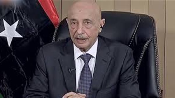 مجلس النواب الليبي: الإخوان دمروا البنية التحتية وانقلبوا على الدولة (فيديو)