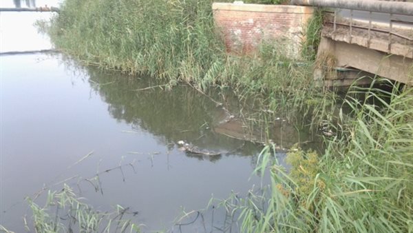 مصطفى بكرى يكشف معلومات خطيرة عن «كتشنر» أكبر مصرف صحى فى مصر (فيديو)