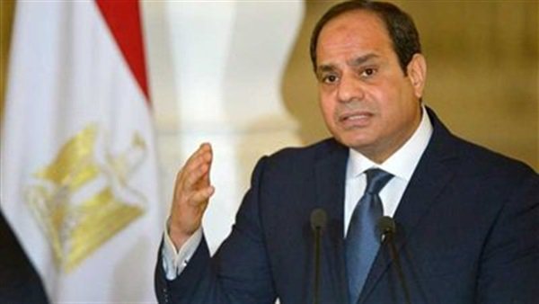 عمرو عبدالحميد : التعليم على رأس اولويات الرئيس السيسي 