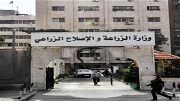 الزراعة تعلن عن وظائف بـ 5 آلاف جنيه في جنوب سيناء (فيديو)