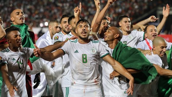 هانى حتحوت يهنئ منتخب الجزائر بلقب أمم إفريقيا: «ذهبت البطولة لمن يستحقها» (فيديو)