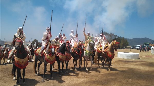 استمرار فعاليات مهرجان