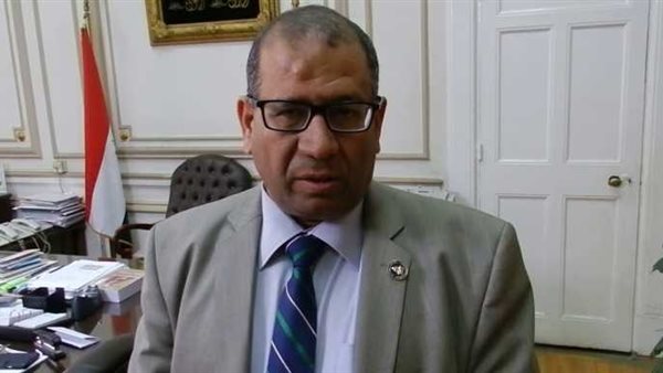 عميد آداب القاهرة: المنطقة العربية تمتلك مقاومات الوحدة بين دولها بشكل أكبر من أوروبا