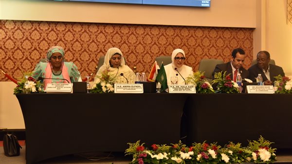 اللجنة الفنية المتخصصة للصحة والسكان ومكافحة المخدرات: نجاح مصر في مكافحة فيروس سي يؤكد إمكانية تكرار التجربة في كل الدول الأفريقية (صور)