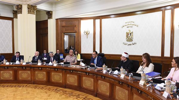 مجلس الوزراء: «المشروع القومي للاستثمار سيحقق الاكتفاء الذاتي من الدواجن» (فيديو)