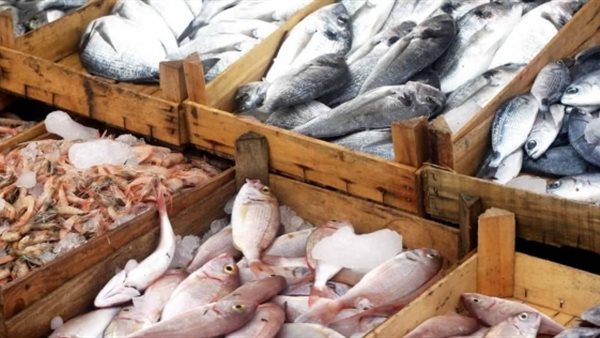 أسعار الاسماك اليوم الخميس 8 اغسطس 2019