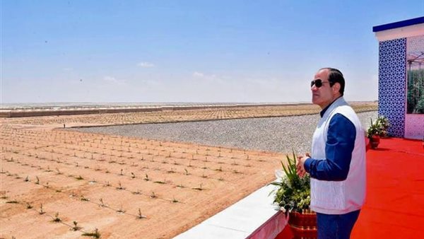 عميد زراعة عين شمس يكشف خطة الدولة لإقامة صوب زراعية بالصعيد (فيديو)