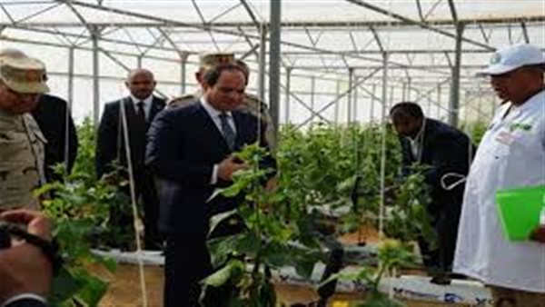 أحمد موسى : 5 آلاف فدان لإنشاء الصوب الزراعية في بني سويف والمنيا أول سبتمبر المقبل(فيديو) 