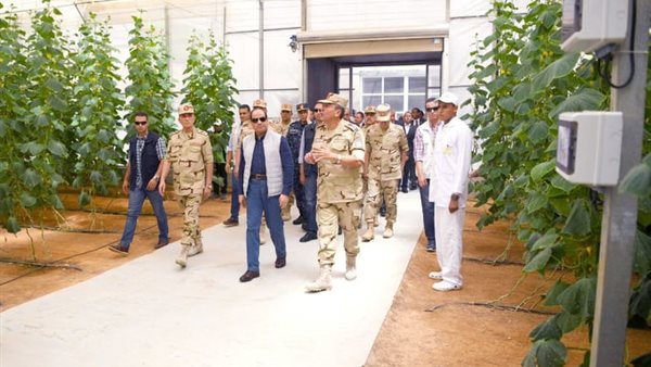 أحمد موسي : الاسبان شهدوا بمشروع الصوب الزراعية.. «رقم واحد فى العالم» (فيديو)