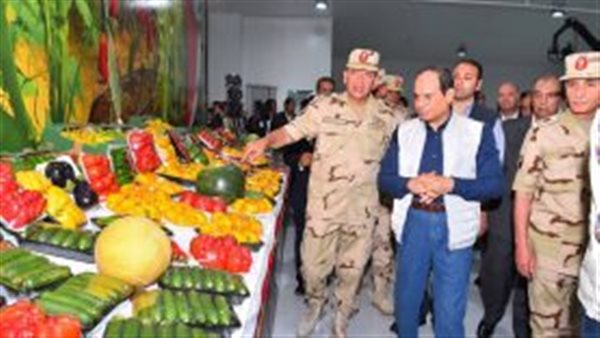 نقيب الزراعيين : «مشروع الصوب الزراعية إنجاز حقيقي.. وينقصنا التسويق للمشاريع» (فيديو)