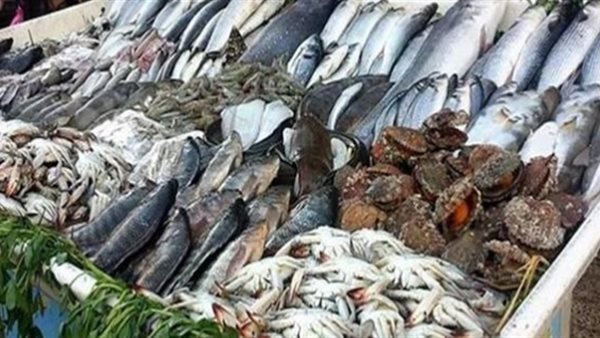 أسعار الاسماك اليوم الاحد 25 اغسطس 2019