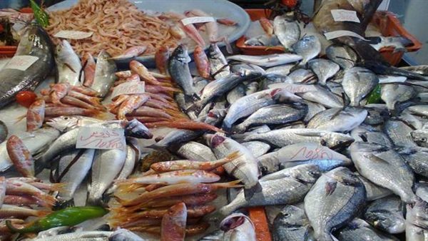 أسعار السمك اليوم الاثنين 26 اغسطس 2019
