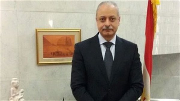 سفير مصر باليابان: طوكيو تدعم المركز المصري لتسوية النزاعات وحفظ السلام في أفريقيا(فيديو)