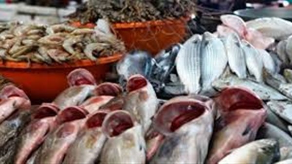 أسعار السمك اليوم السبت 31 أغسطس 2019