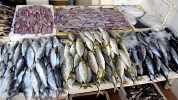 أسعار السمك اليوم الأحد 1 سبتمبر 2019 