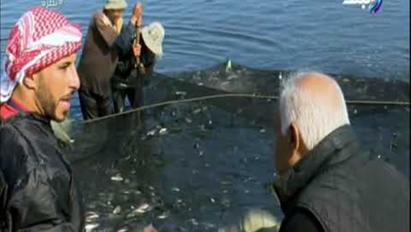 سمير فرج: بركة غليون حافظت على عدم ارتفاع أسعار السمك (فيديو)  