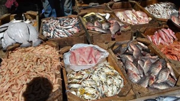 أسعار السمك اليوم الخميس 5 سبتمبر 2019 