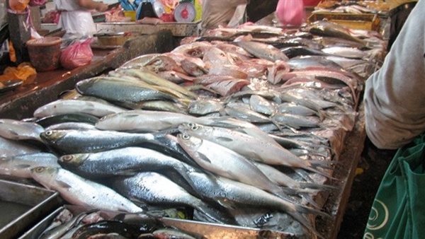 أسعار الاسماك اليوم السبت 7 سبتمبر 2019 