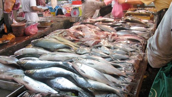 أسعار الاسماك اليوم الجمعة 13 سبتمبر 2019