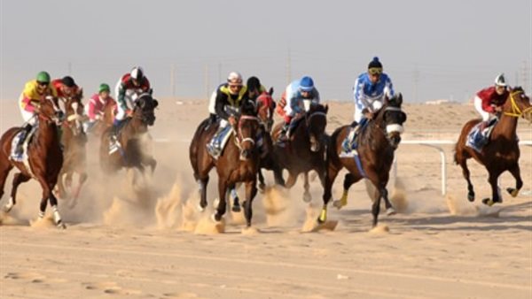 انطلاق مهرجان رماح الخير فى الفيوم 20 سبتمبر