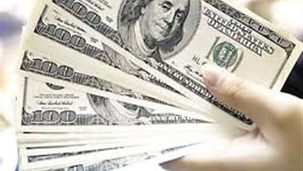 خبير اقتصادى: الدولار سيصل إلى ١٦ جنيها (فيديو)