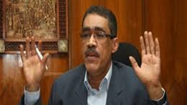 ضياء رشوان يتحدى محمد علي: «طلع مستند واحد يثبت كلامك» (فيديو)