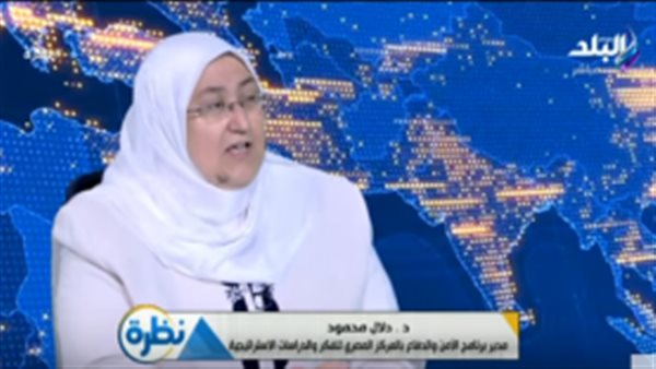 أستاذ علوم سياسية: «مصر تواجه حربا نفسية من الإعلام المُعادي» (فيديو)