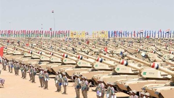 الباز: من يريد الحديث عن الجيش لا بد أن يتوضأ أولاً لأنه يتحدث عن مؤسسة طاهرة