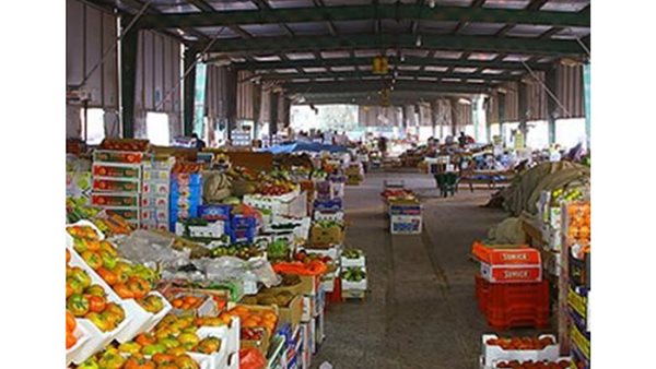 أسعار الخضار والفاكهة بسوق العبور اليوم الاثنين 7 أكتوبر 2019