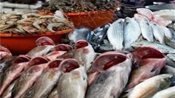 أسعار الاسماك اليوم السبت 12 أكتوبر 2019