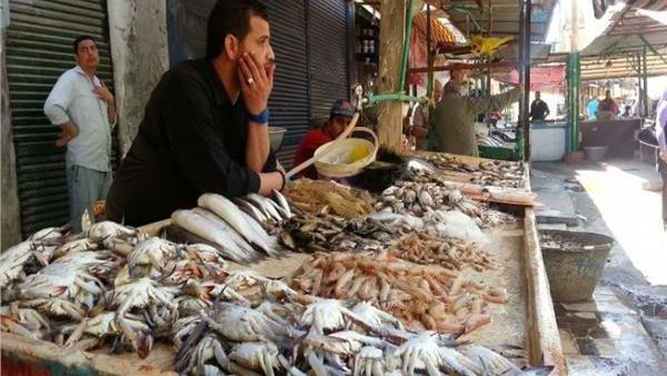 أسعار الاسماك اليوم الأربعاء 16 أكتوبر 2019