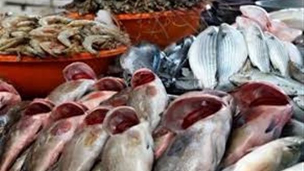 أسعار الاسماك اليوم الاثنين 14 أكتوبر 2019