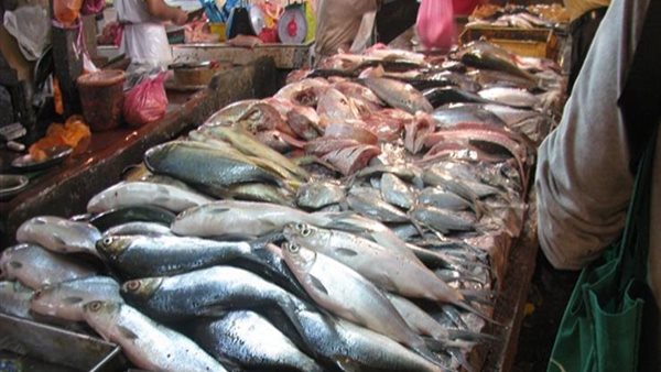 أسعار الاسماك اليوم الأحد 20 أكتوبر 2019