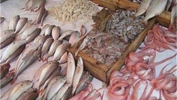 أسعار الاسماك اليوم الخميس 24 أكتوبر 2019