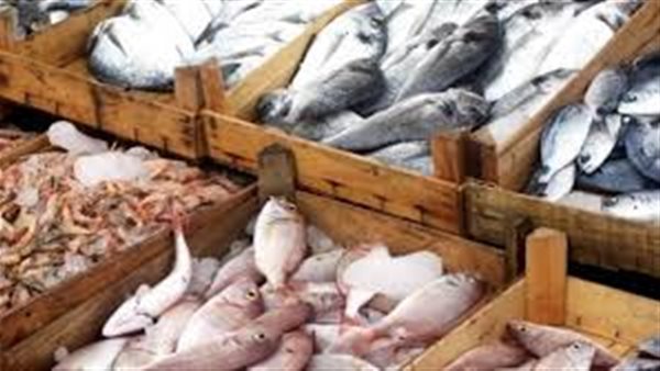 أسعار الاسماك اليوم الثلاثاء 15 أكتوبر 2019