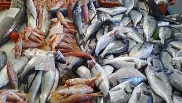 أسعار الاسماك اليوم الأربعاء 30 أكتوبر 2019