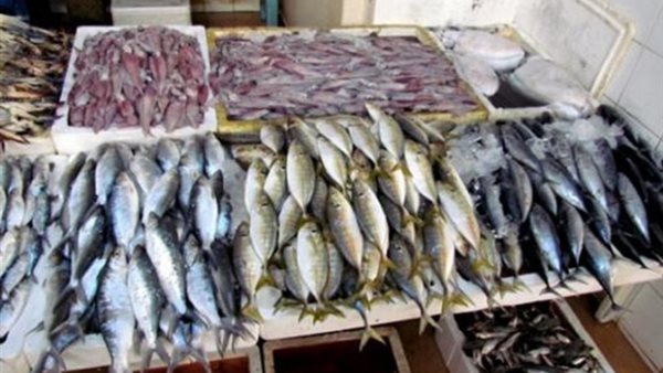 أسعار الاسماك اليوم الخميس 31 أكتوبر 2019