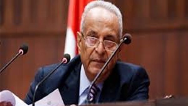 أبوشقة : حزب الوفد سيشكل حكومة موازية تقدم الحلول وهذا قمة العمل الحزبي (فيديو)