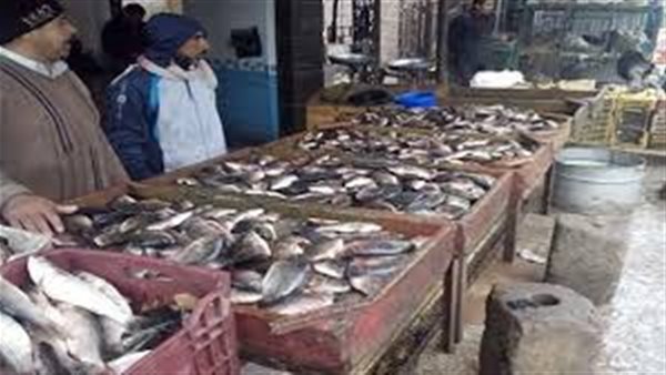 أسعار الاسماك اليوم الأحد 10 نوفمبر 2019