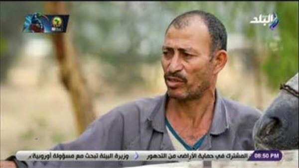 سايس بمحطة الزهراء للخيول: «الخيل الحامل بتخاف على نفسها زي الست بالظبط» (فيديو) 