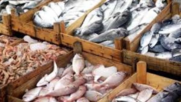 أسعار الاسماك اليوم السبت 16 نوفمبر 2019