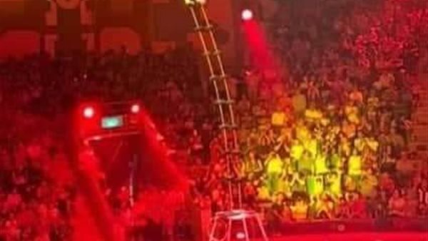 السيرك القومى يحصد ثلاث جوائز بمهرجان 