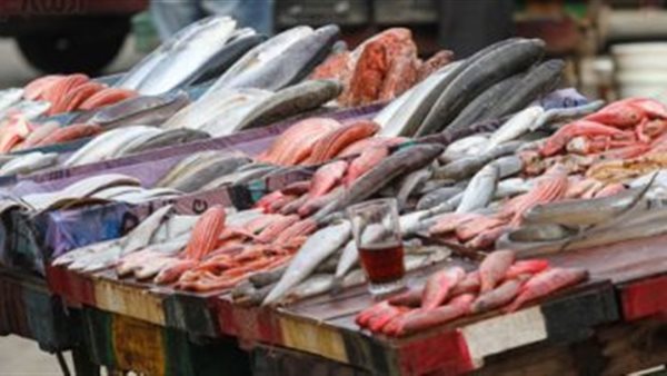 أسعار الاسماك اليوم الخميس 21 نوفمبر 2019